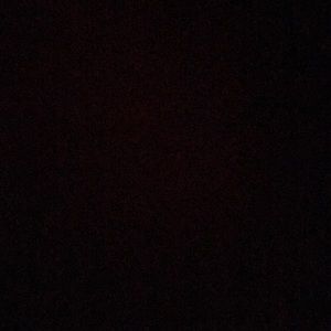 Meet your Posher, Riley