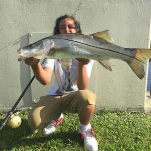 Meet your Posher, Matthew