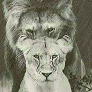 Meet your Posher, Donald