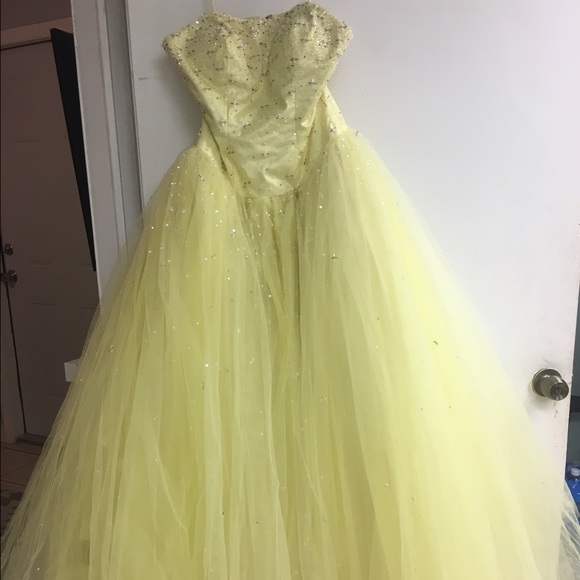 Princess style homecoming/prom/Quinceañera dress