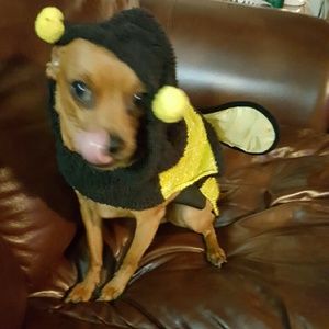 Meet your Posher, Heather