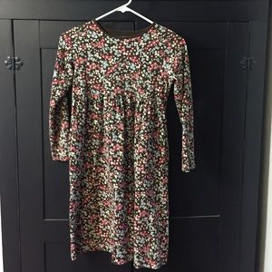 Lands End fall dress