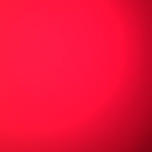 Short Bundle for @rachelgpauli