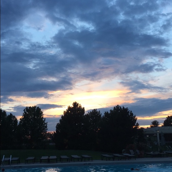 Meet your Posher, Grace - Picture 1 of 1