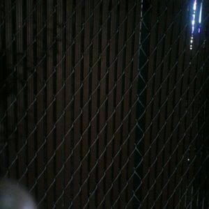 Meet your Posher, Tyra