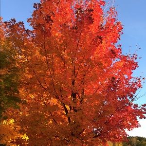 Meet your Posher, Jenni