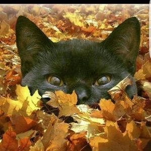 Meet your Posher, Christy