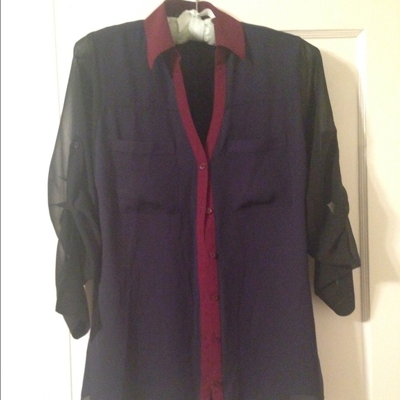 Sheer Professional Button Down