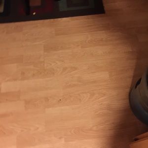 Meet your Posher, Kiara