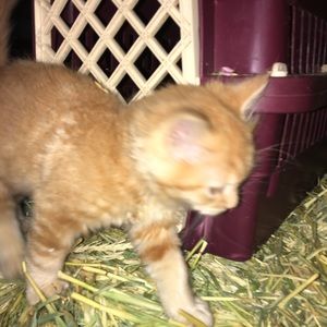 Meet your Posher, Terri