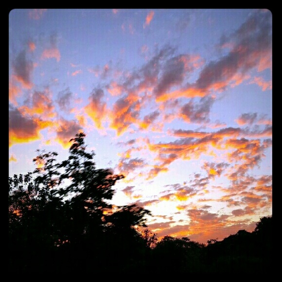 Meet your Posher, Allie