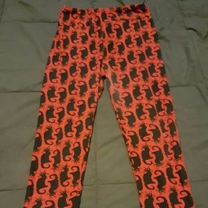 LuLaRoe cat unicorn one size