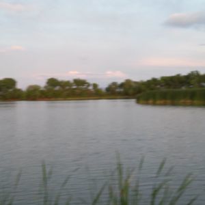 Meet your Posher, Kenny