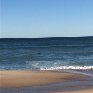 Meet your Posher, Darlene