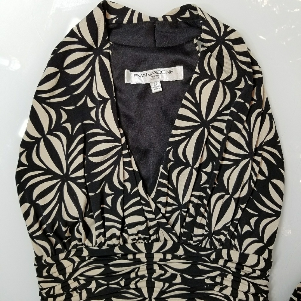 Evan-Picone Dress