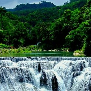 Meet your Posher, Reece