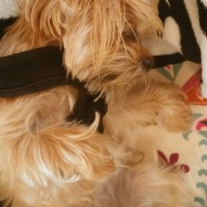 Meet your Posher, Katherine