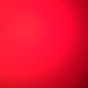 Meet your Posher, Selena