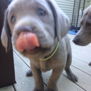 Meet your Posher, Vanessa