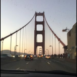 Meet your Posher, Daisy