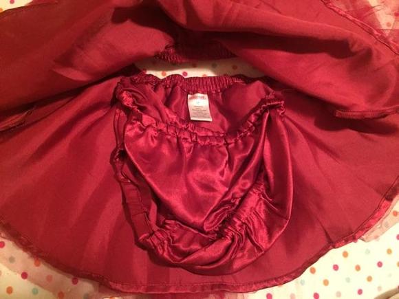 Deep Red Gymboree Tulle Skirt - Picture 2 of 4