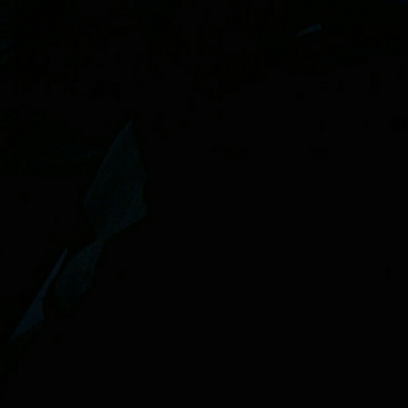 Meet your Posher, Craig - Picture 1 of 1