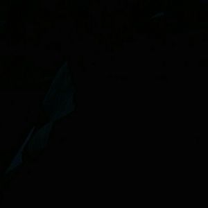 Meet your Posher, Craig