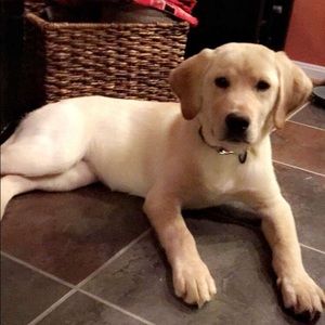 Meet your Posher, Jordan