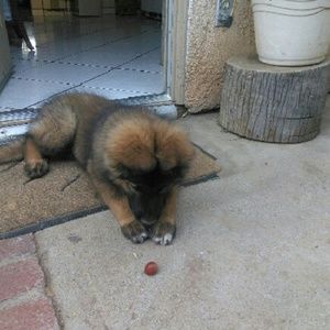 Meet your Posher, Karina