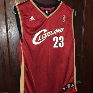 NBA Adidas Cleveland Cavaliers LBJ jersey