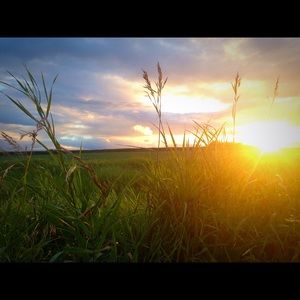 Meet your Posher, Annie