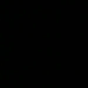 Meet your Posher, Vuki