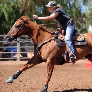 Meet your Posher, Jayme