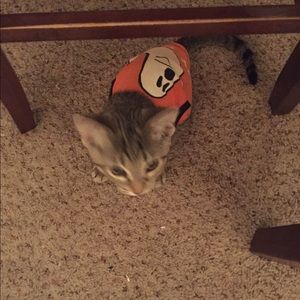 Meet your Posher, Olivia