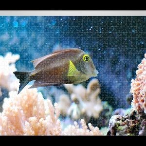 Meet your Posher, Gina