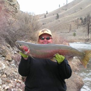 Meet your Posher, Ginny