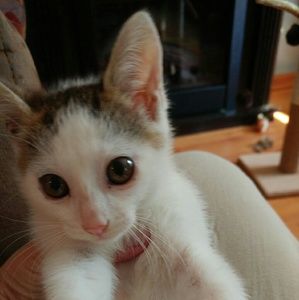 Meet your Posher, Lori