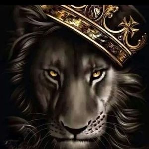 Meet your Posher, Alonzo