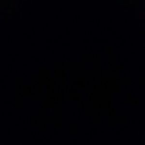 Meet your Posher, Tricia