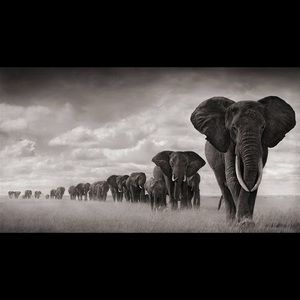 Meet your Posher, Houa