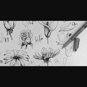 Meet your Posher, Carlos