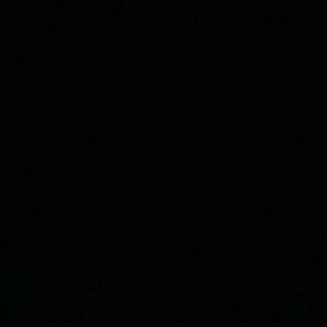 Meet your Posher, Topanga