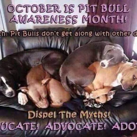 Meet your Posher, Dannielle