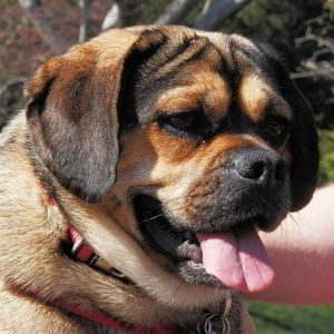 Meet your Posher, Stacey