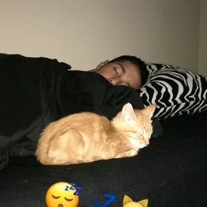 Meet your Posher, William