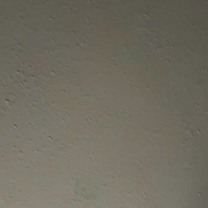 Meet your Posher, Robbie