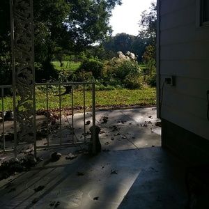 Meet your Posher, Monica