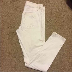 Express Stella Pants
