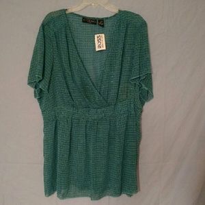 🌻LAST CALL🌻 Sheer blouse from Ross