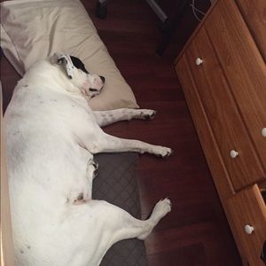 Meet your Posher, Andre